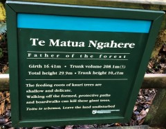 Te Matua Ngahere
