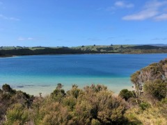 Caribbean color waters in a lake