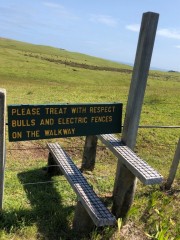 Not to worry, we have great respect for the bulls (and all cows)!