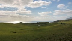 Tasman Sea shining in the sun