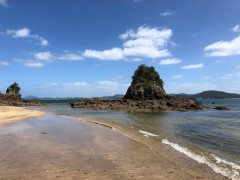 Whangaumu Bay picnic spot