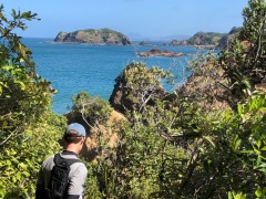 Tutukaka Heads Lighthouse Track