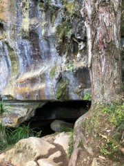 Entrance to Waipu Cave