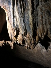 Stalactites in Waipu Cave