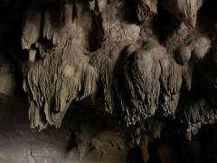 Although these were just the start of the fun, we weren't able to photograph the utter magic of the glow worms - sorry, you'll have to trust us or come see for yourself