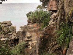 Pancake Rocks (not the ones on the south island, but a very impressive similar geological wonder)