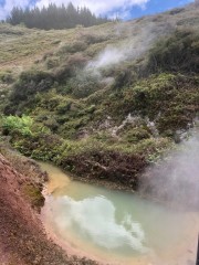 Week4_Fri_04