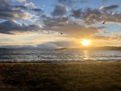 Week4_Tue_11