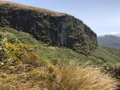 Week5_Fri_01