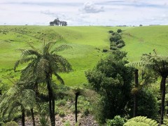 View across the valley to the pastures from our studio