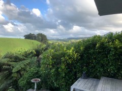 View towards Mt Taranaki from our studio