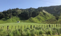 Week5_Gal_12