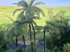 View down into the river from our studio