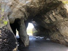 Week5_Sat_15
