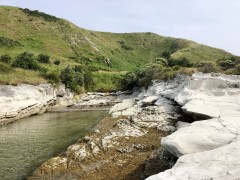 Week6_Thu_13