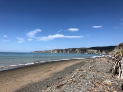 Cape Kidnappers