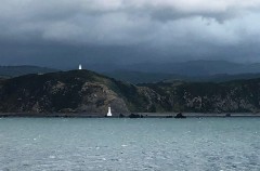 Arriving in the Sounds