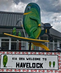 Guess what the specialty food in Havelock is?