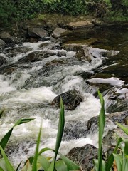 Matai Valley