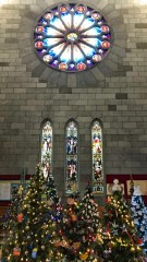 Christmas in the cathedral