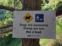 Loads of creative signs imploring dog owners to be responsible - this was my favorite