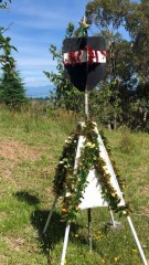 Christmas at the trig