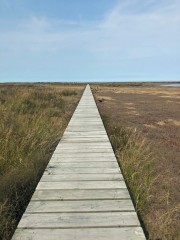 Week9_Sun_08
