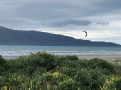Kapiti1