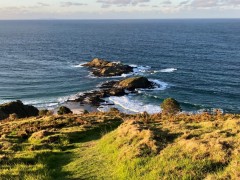 Northland3